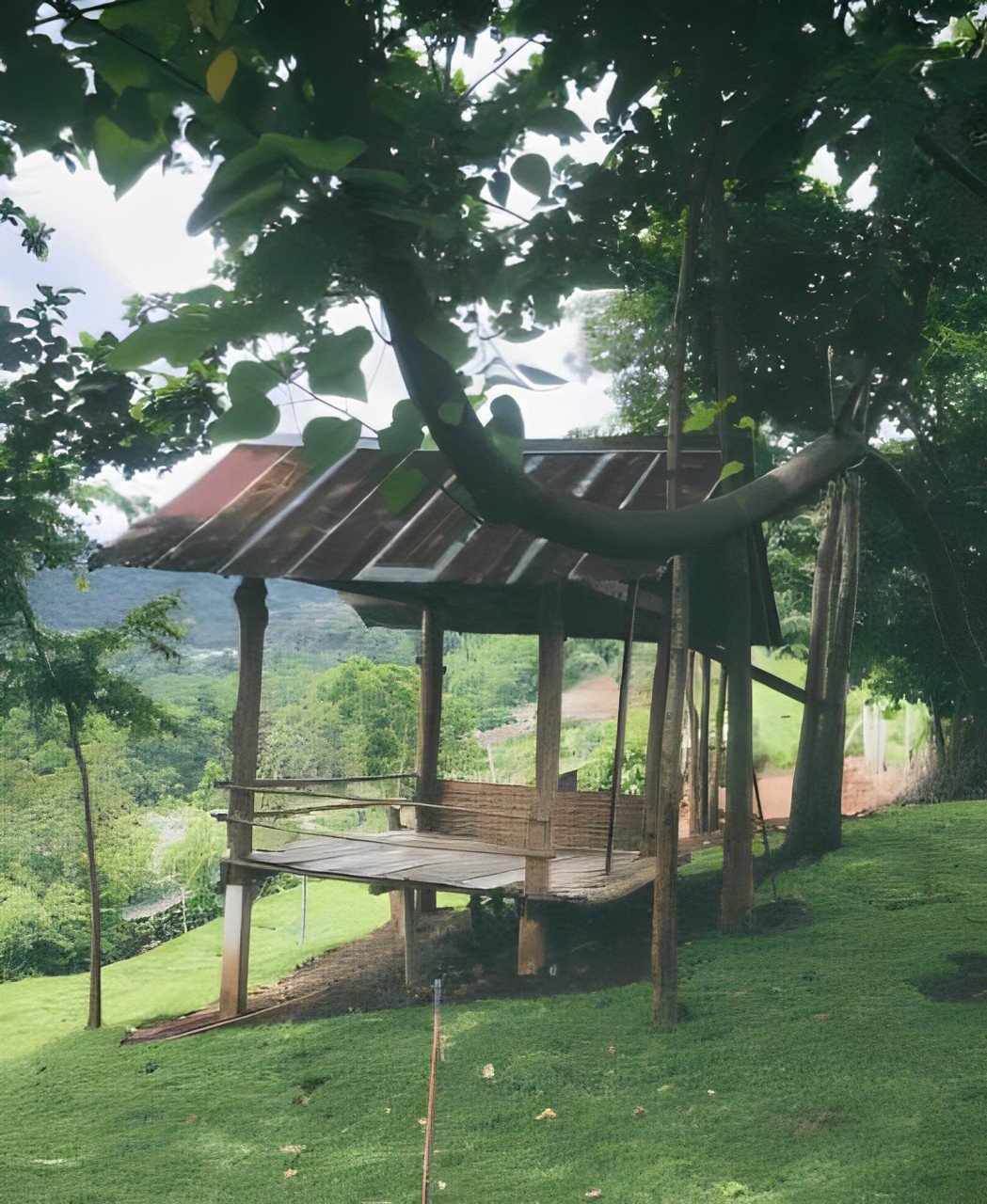 Green Explorer Chiang Mai, Camping Gear Rental campsite recommendation, Lhong Khao Kao haat